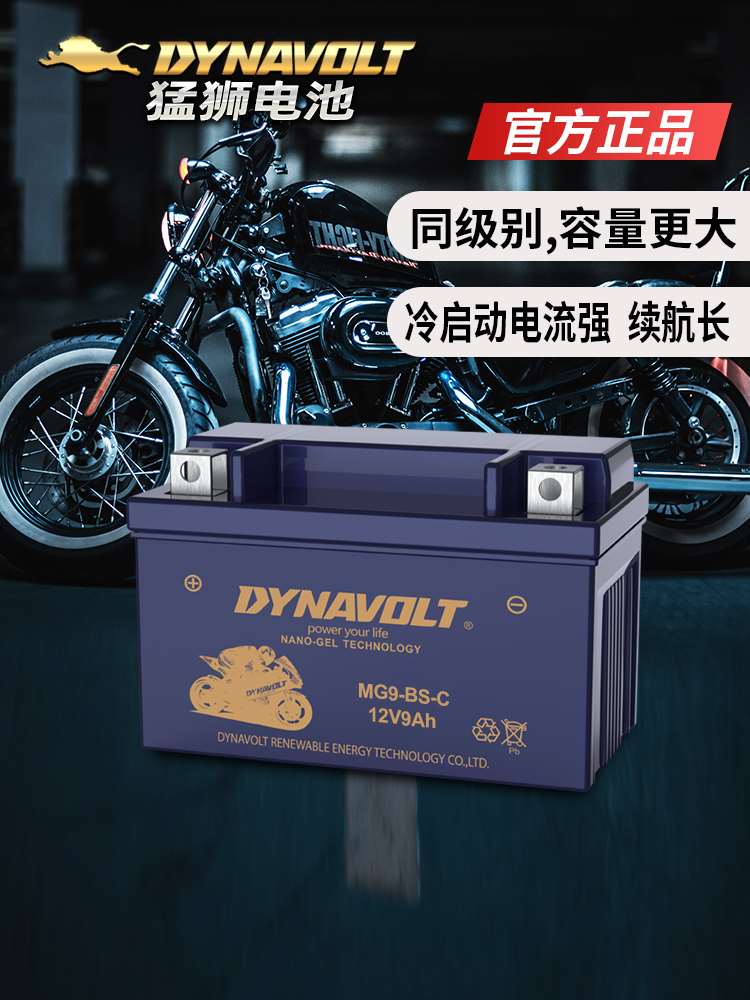 猛狮摩托车电瓶502金鹏752S黄龙600赛GSX贝纳利GW250DL300电池12V