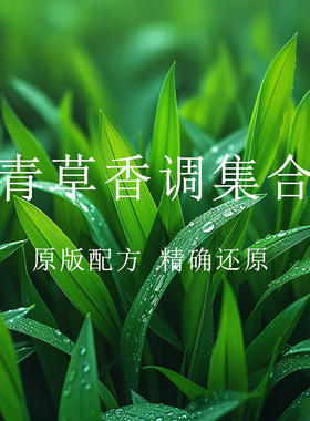 薄荷青草水中影浓香香水香氛调香