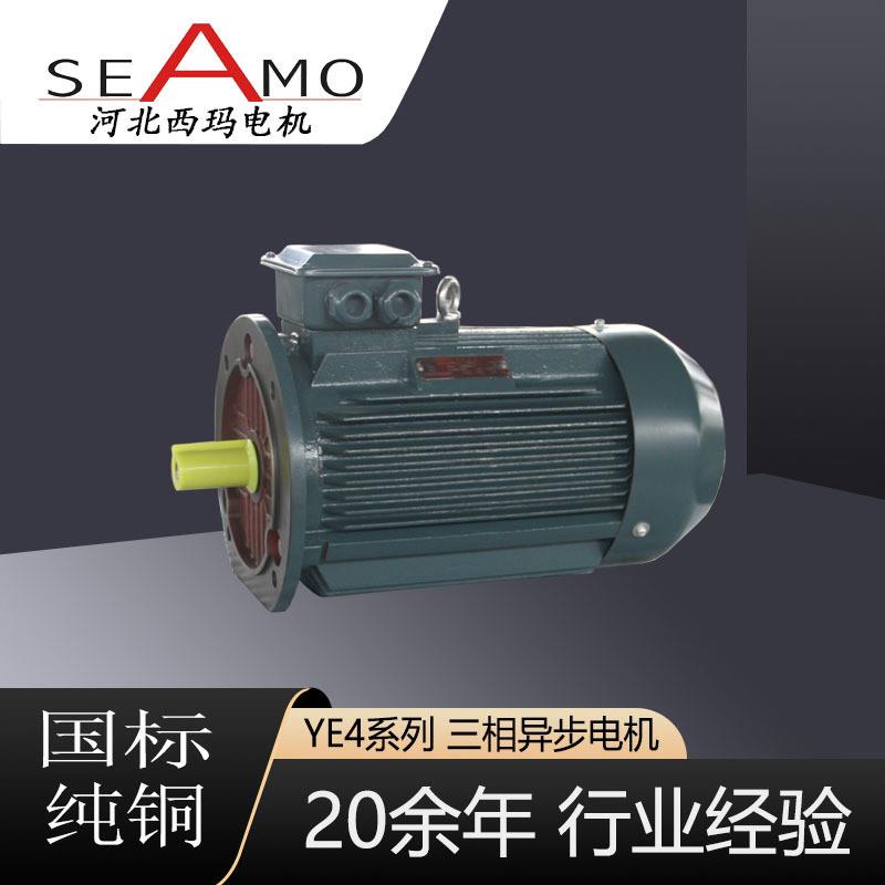 电机定制生产YE4-2极3-355kw超高效三相异步电动机