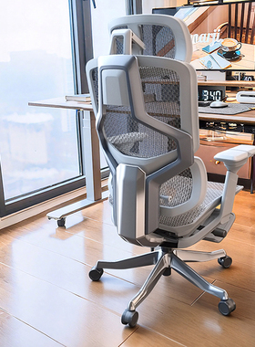 乐瓦ENOVA自由家人体工学椅办公座椅舒适学习电竞椅撑腰椅电脑椅