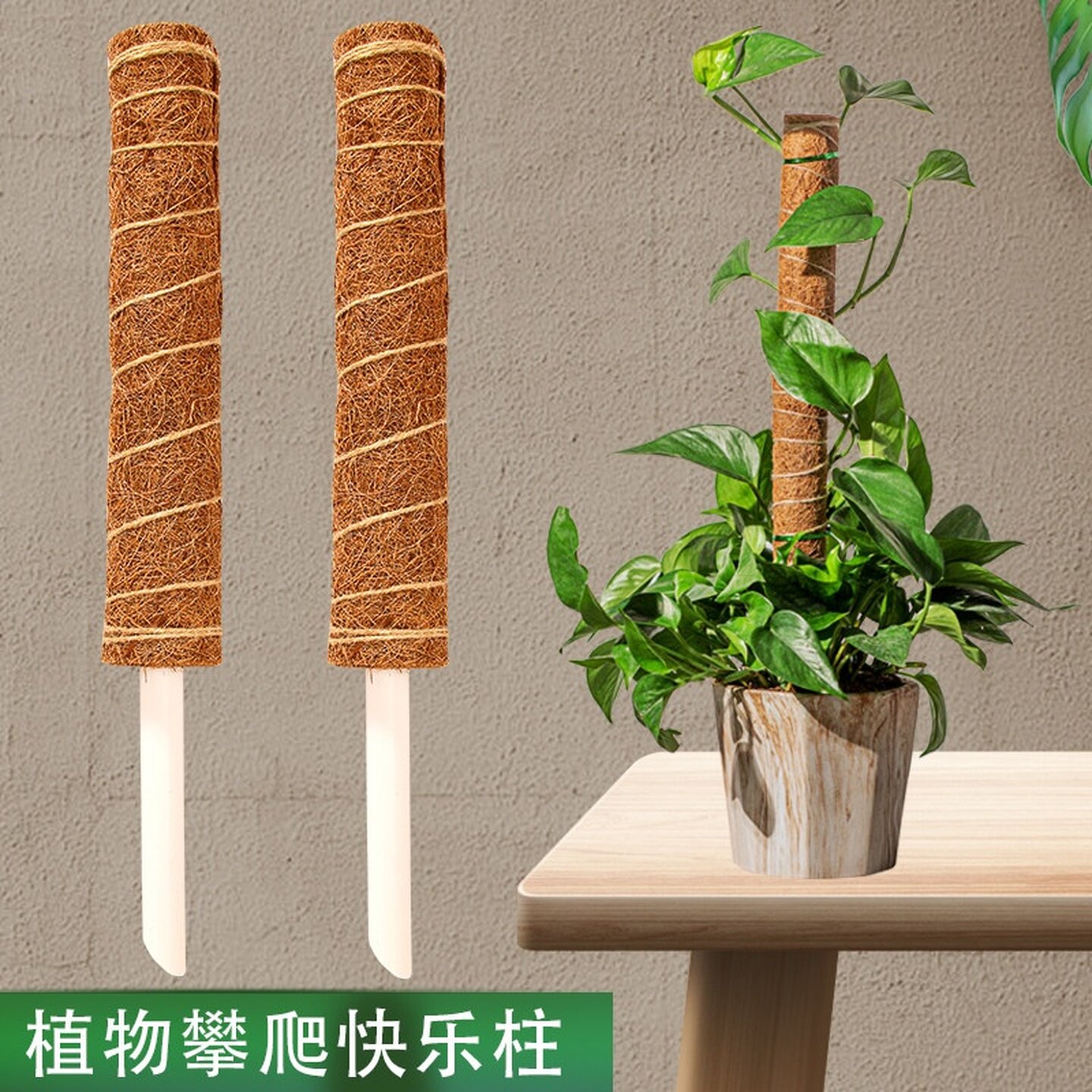 龟背竹花卉支撑杆植物攀爬棕榈柱椰丝棒绿萝爬藤支架固定花架防倒