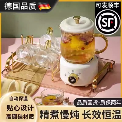德国进口养生壶多功能家用保温