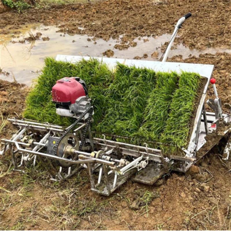 4行6行栽植稻苗的机器 水田用的水稻直播机手拉式汽油水稻插秧机