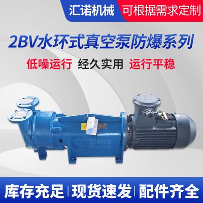 2BV水环式真空泵防爆系列无油液式真空泵2BV水环式防爆真空泵