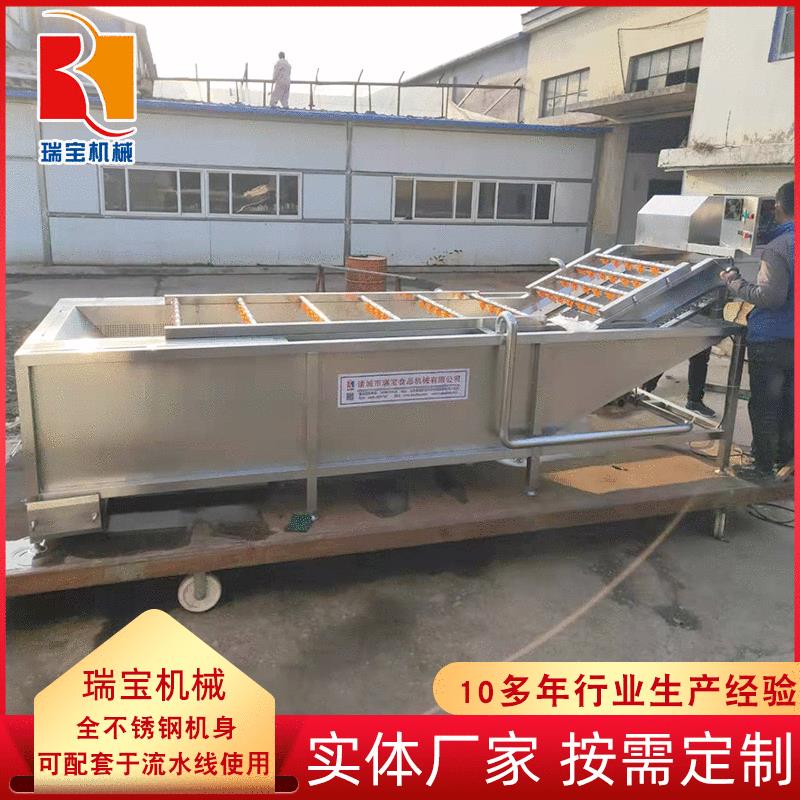 供应淋喷式气泡清洗机 红枣清洗设备 全自动不锈钢气泡清洗机