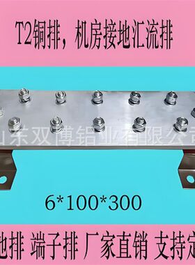 汇流T2铜等电位接地端子母线排 接地纯铜排tmy铜母排加工穿孔折弯