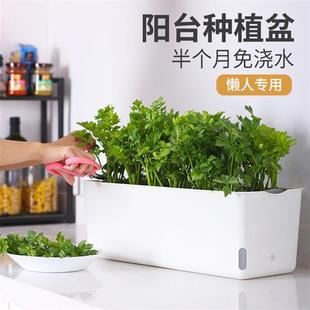 长方形种菜盆家庭阳台专用蔬菜种植箱黄金葛塑料花盆长条懒人自吸