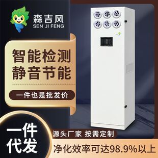 风量可选 静音低噪智能风商用空气净化器柜式 新风机组厂家 柜式