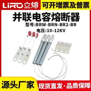高压并联电容保护器熔断器保险管BR2 BRN BRW10-12KV-20-200A熔丝