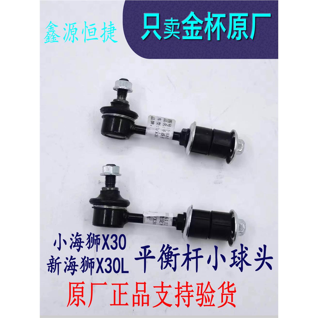 金杯新小海狮X30L前平衡图片