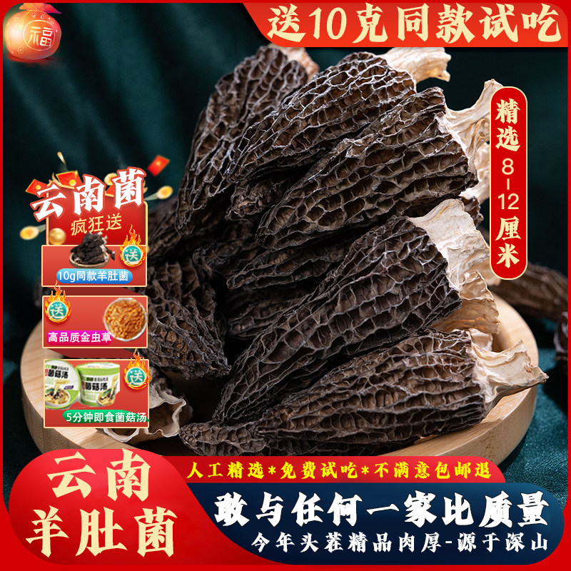 头茬新货羊肚菌干货特级免费试吃