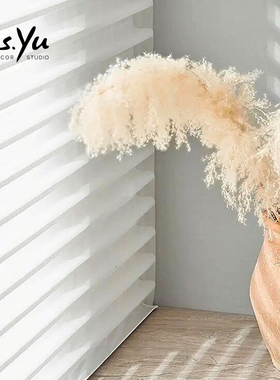 香格里拉帘柔纱帘白色书房循环百叶帘客厅小窗卷帘遮光Yu定制