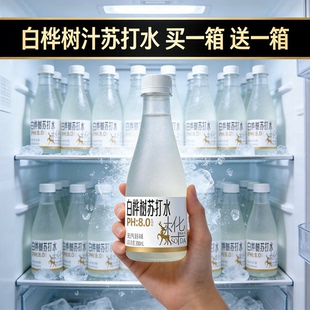 白桦树汁100%原汁原液小兴安岭天然植物饮料桦树水300ml 6瓶