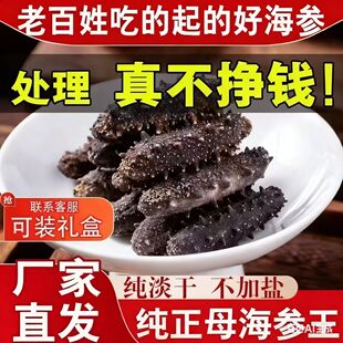 海参大连海参辽参刺参半干海参野生海参孕妇深海捕捞礼盒拉缸盐