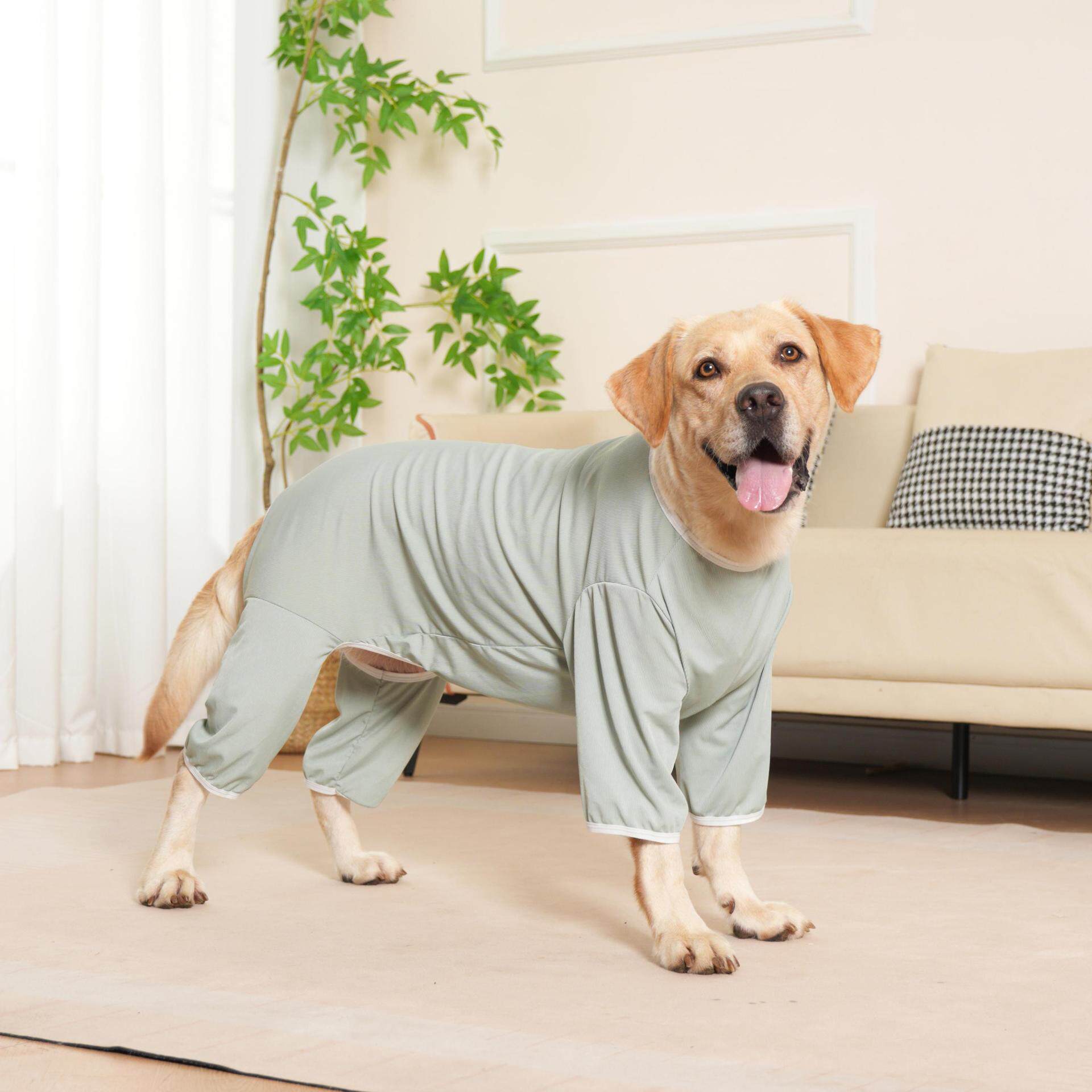 中大型犬通用宠物四脚衣