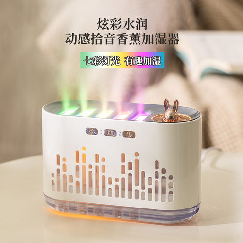 2026新款动感拾音加湿器