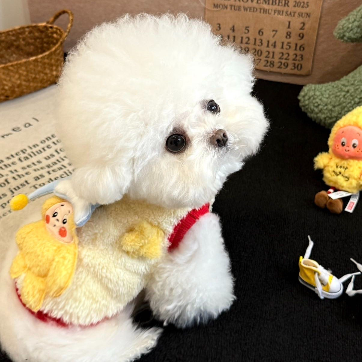 狗狗衣服秋冬新款加绒可