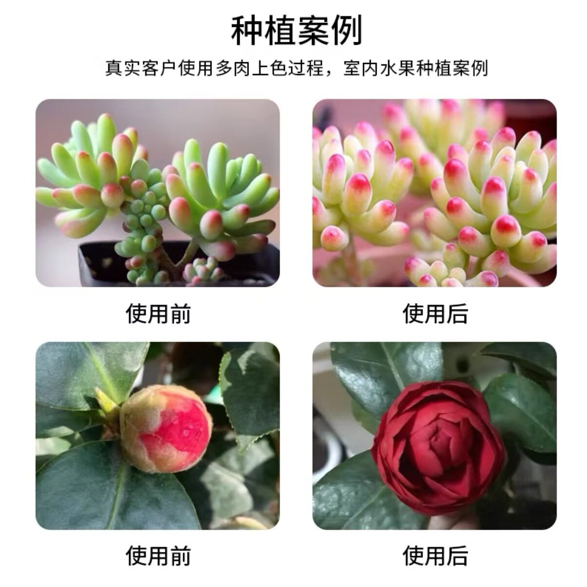 植物生长灯T8全光谱led组