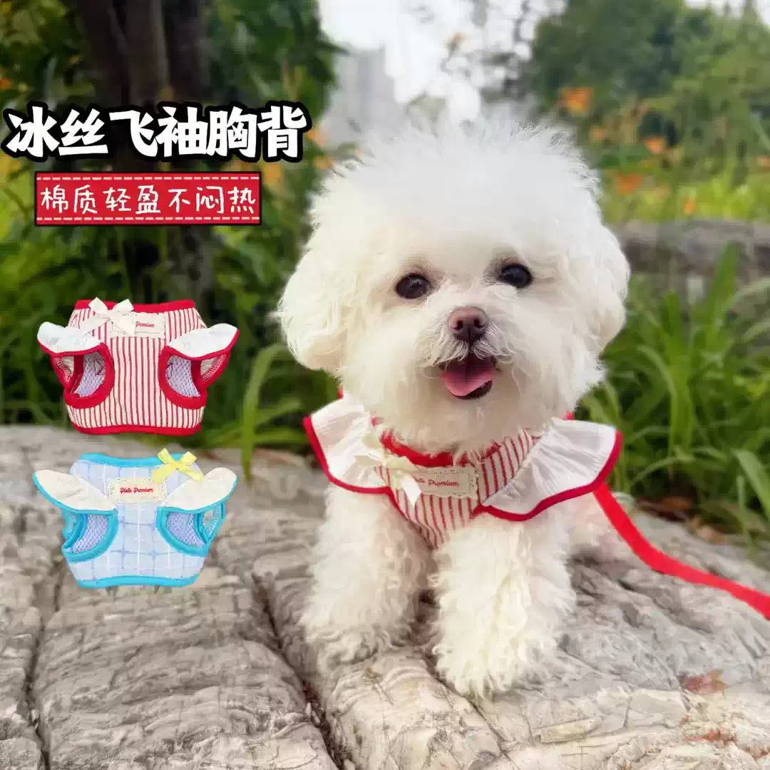 宠物棉质胸背牵引绳小型犬猫咪抱