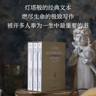 天使望故乡 函盒典藏文库本 天才作家以生命激情写就