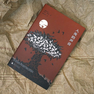 入夜的声音     米亚 科托   诺贝尔  葡语  小说