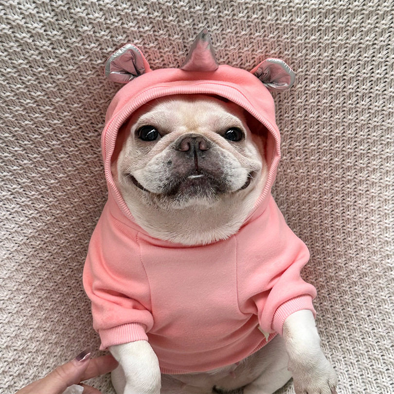 独角兽翅膀加绒加厚棉氨弹力犬猫狗衣服泰迪法斗柯基时尚秋冬可爱