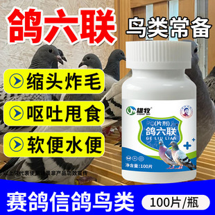 鸽六联鸽子甩食怪叫新城疫甩拉吐鸽温黄绿水便精神萎靡鸽用品大全