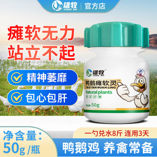 鸭鹅瘫软灵鸡鸭鹅站立不稳脚软关节肿大脚无力腿瘸卧地不起没精神