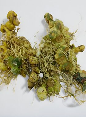 高山中药材黄精篜晒鸡爪参天然黄精干货老虎姜仙 人余粮泡酒煲汤