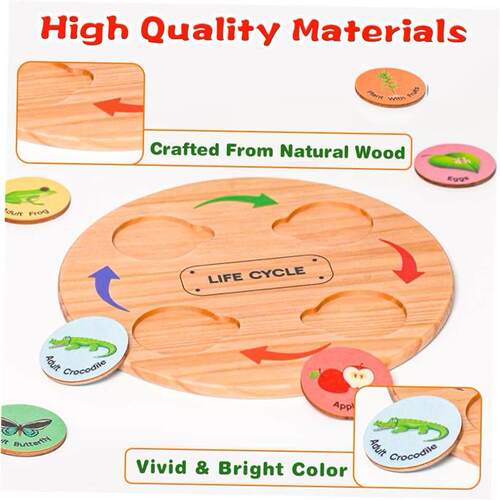 pediatric toy Life Cycle Learning & Educational Montessori