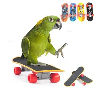 Bird Toy Fun Mini Skateboard Parrot Toy Training Skateboard