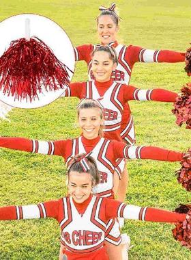 24 Pcs Cheerleading Pompoms Cheering Bouquet Kids The Pet