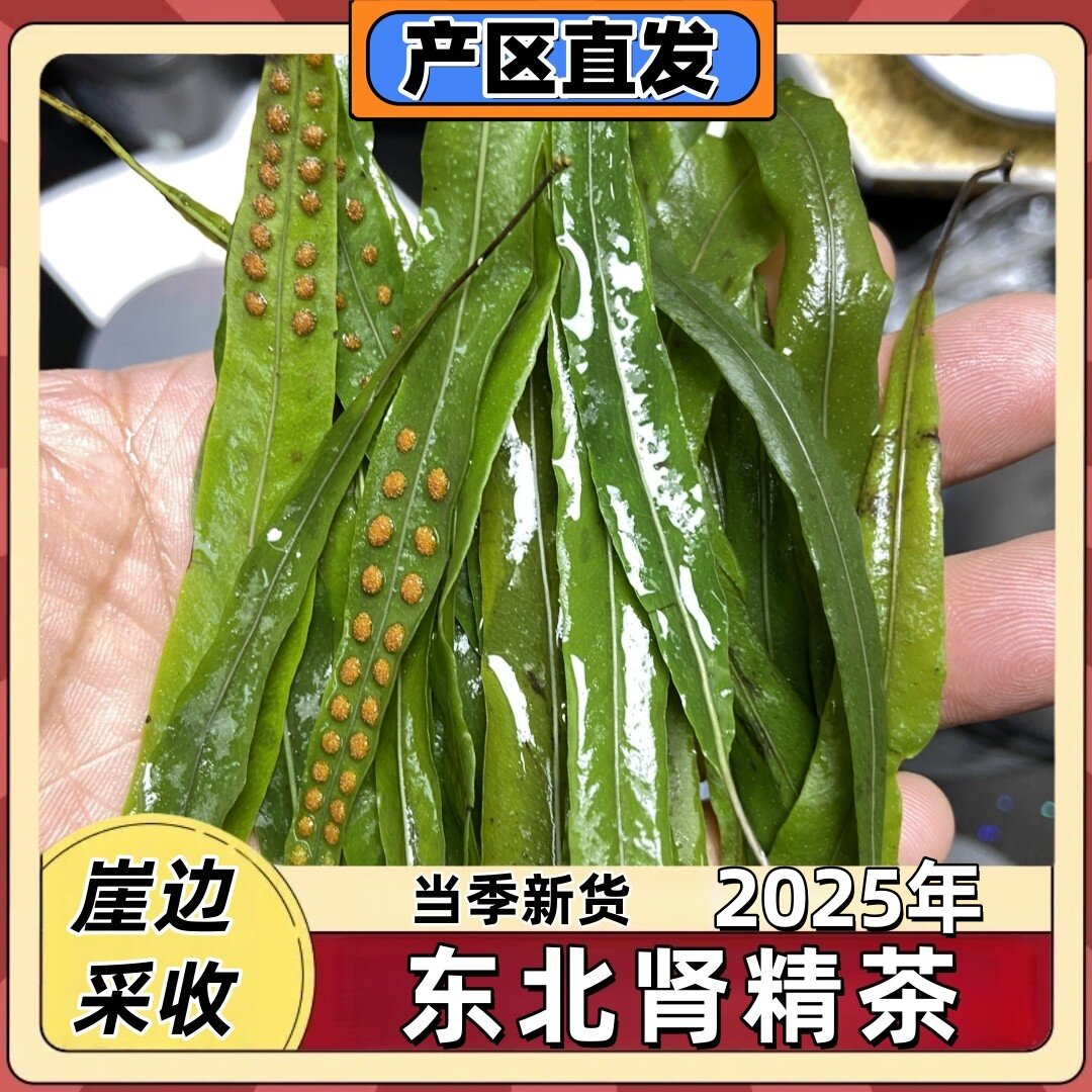 肾精茶黄金草嗷嗷叫东北长白山黄金化石草肾精草