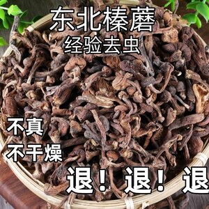 小鸡炖蘑菇特级榛蘑野生新货干货