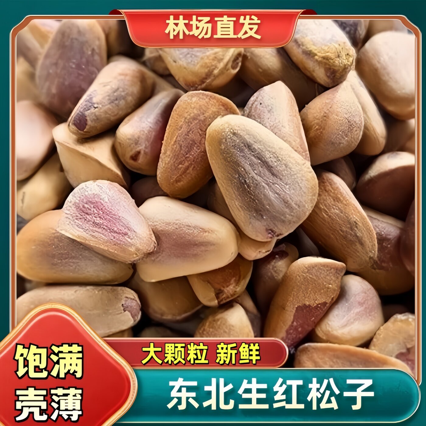 东北当季新鲜生松子熟松子特大红松籽原味手剥开口松子坚果零食