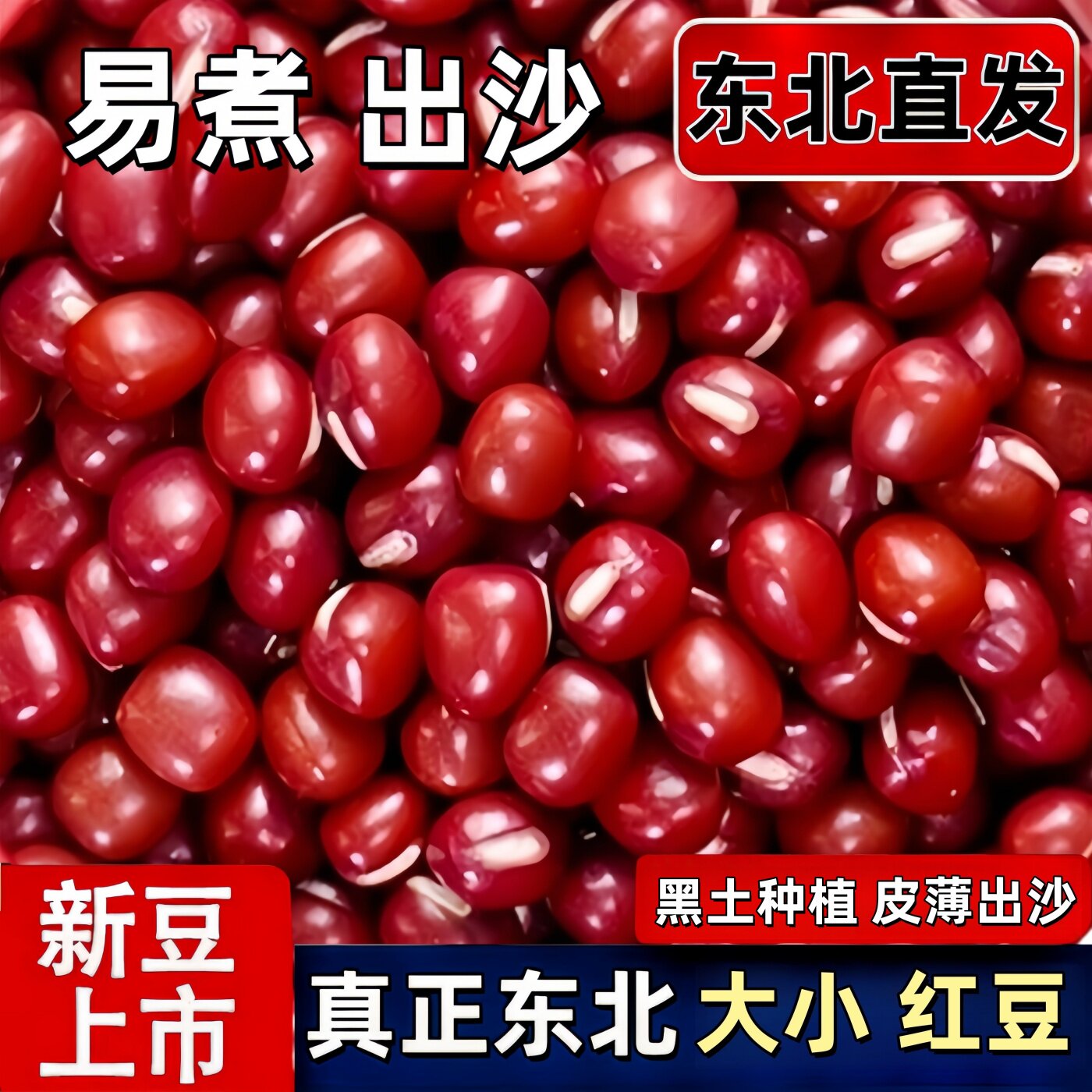 新货东北红豆500g五谷杂粮豆子红小豆豆沙大颗粒红豆黑龙江发货