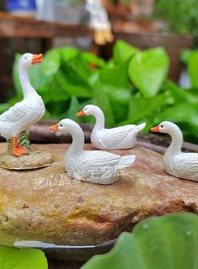 新款迷你小白鸭阳台盆栽花园假山盆景水池鱼缸苔藓微景观摆件鸭子