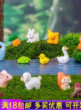 微景观创意可爱小动物摆件青蛙小黄鸭子公仔装饰品微缩迷你小摆件
