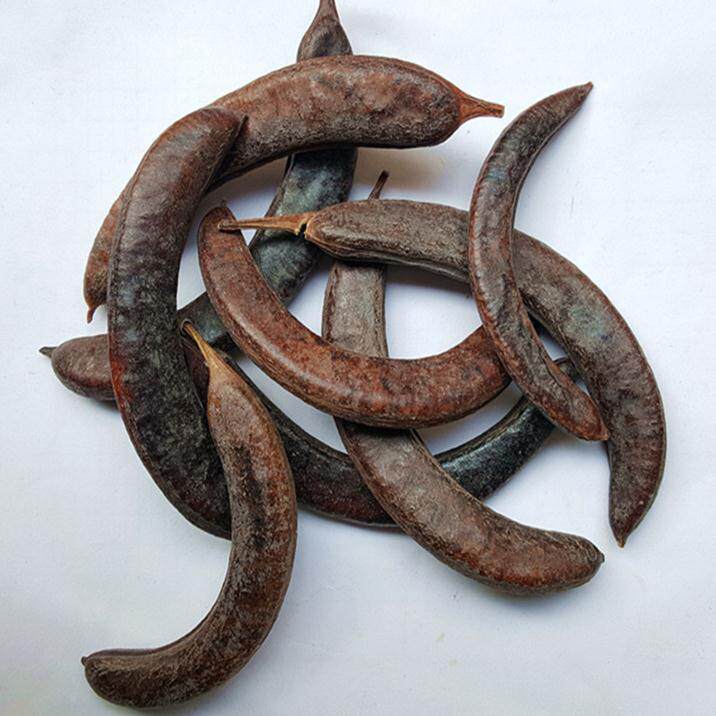 猪牙皂角 小皂角 饱满牙皂 皂荚 小皂荚 1000g克 中草