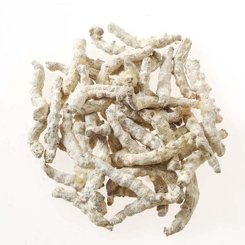 白僵蚕 僵蚕 面膜 僵虫 天虫 材正品