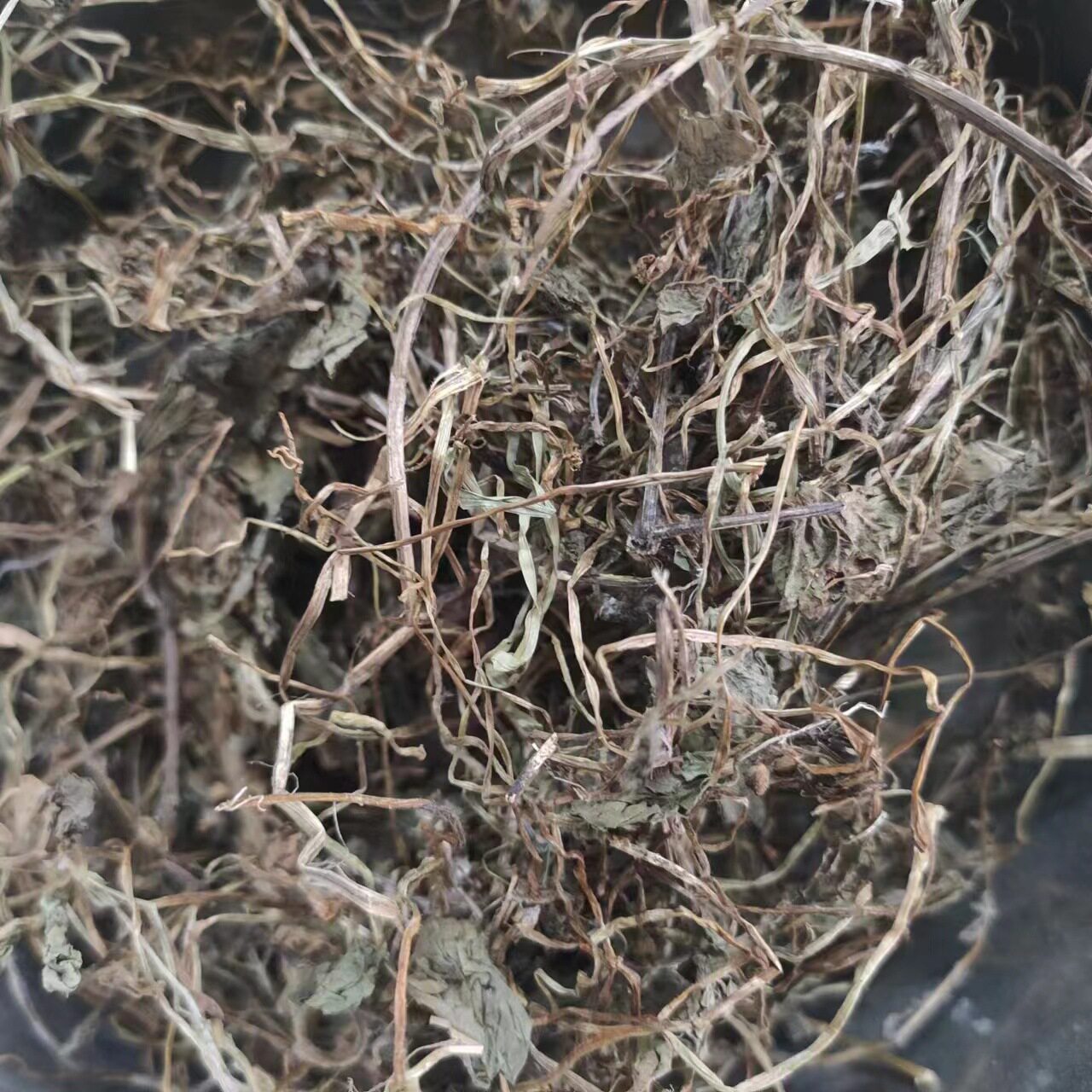 积雪草 马蹄草 雷公根 连线草 广东省公司材