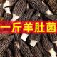 厂家直批 干货特惠头茬新货农产品散装 整斤特惠 云南羊肚菌新品