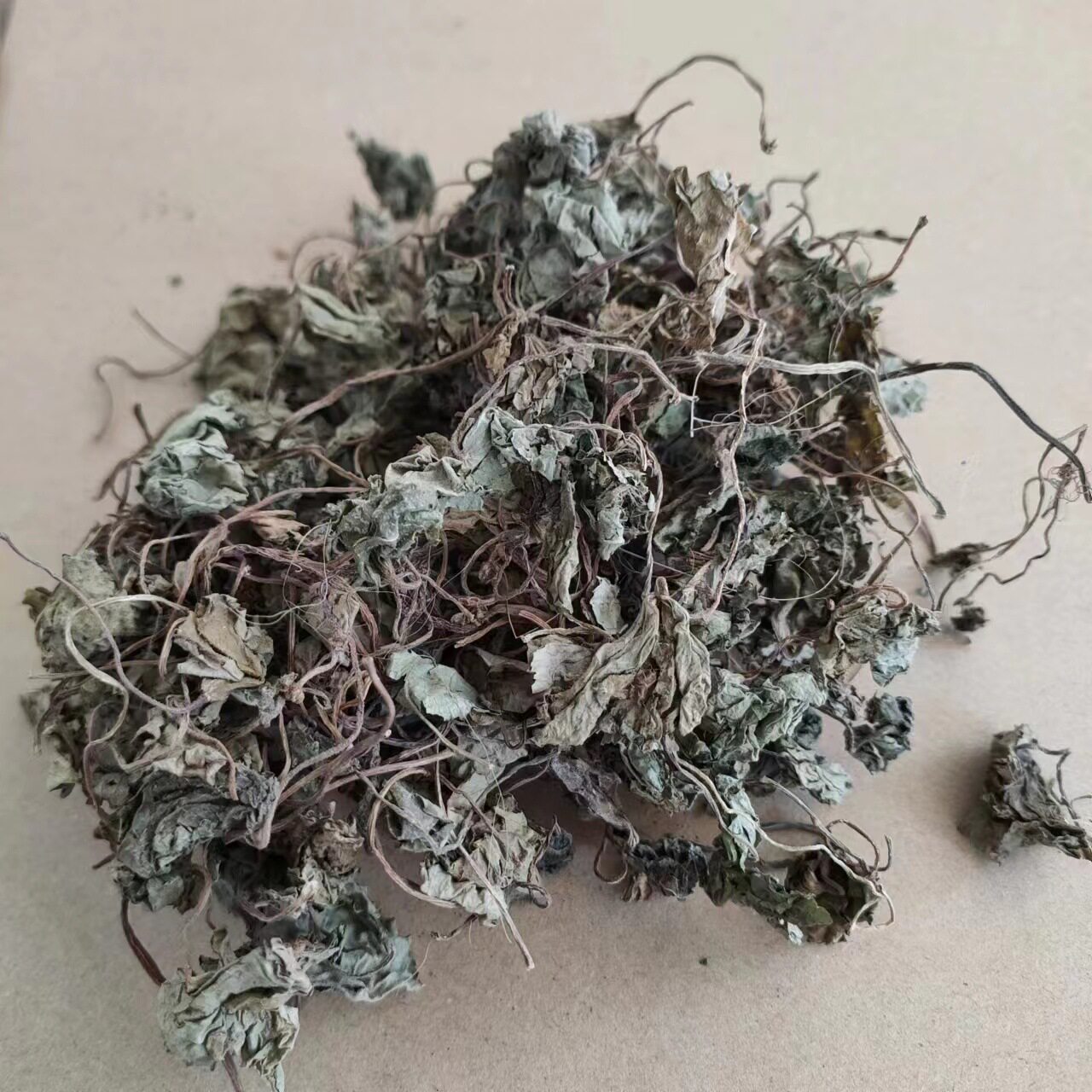 青天葵草 独叶莲 半边伞 坠千斤 珍珠叶 天葵草 1000g克包邮