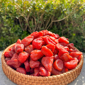 马三多 草莓干酸甜可口水果干新鲜蜜饯果干果脯办公室休闲零食