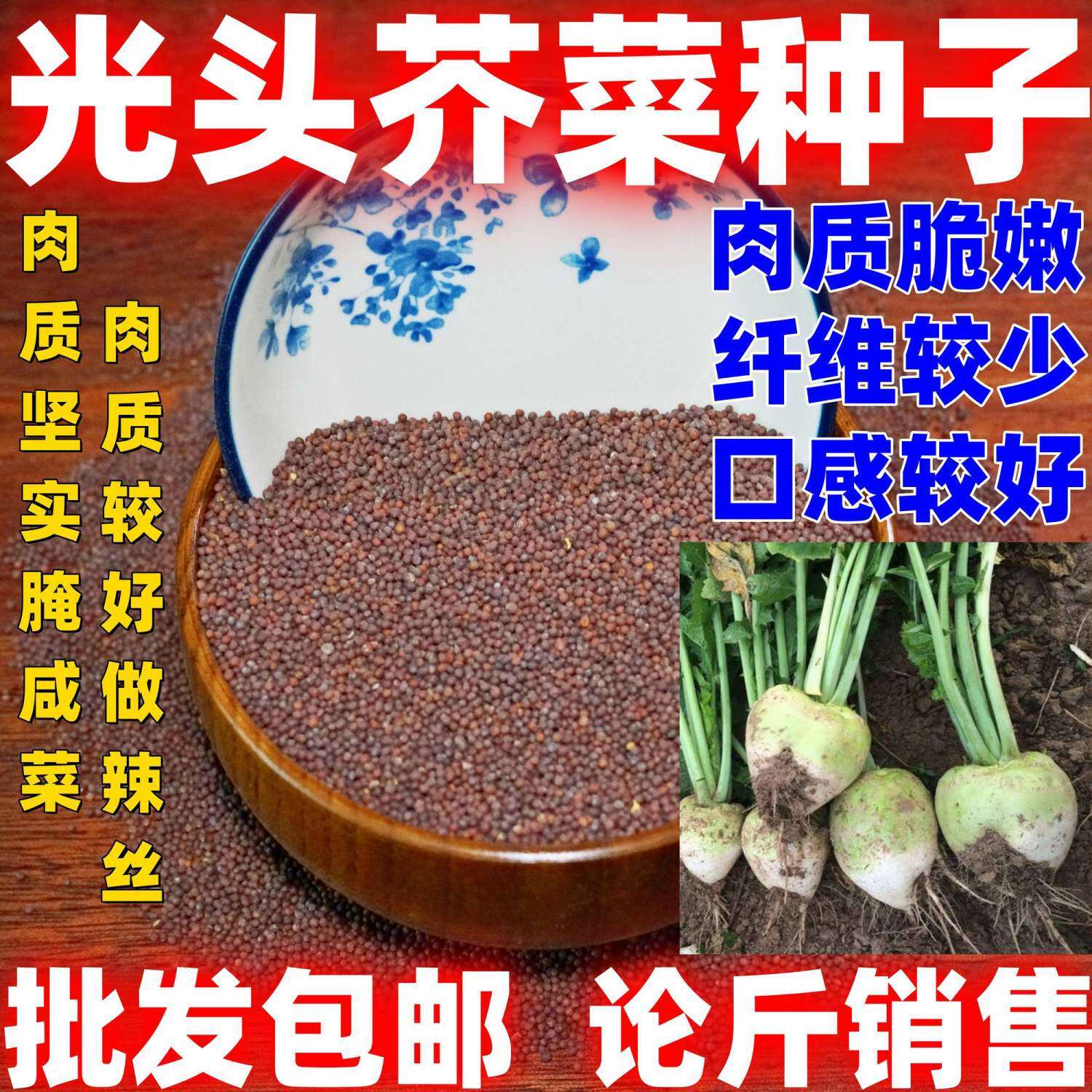 光头芥菜种籽按斤销售大疙瘩辣菜盘菜咸菜大头菜种子秋冬蔬菜种子