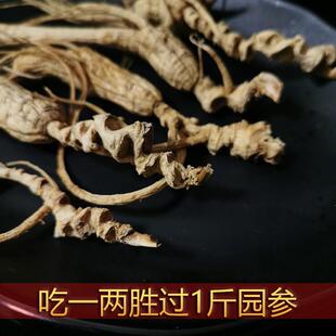 林长白山WSU野山下参老山参林下人参20年参生晒参整枝礼盒