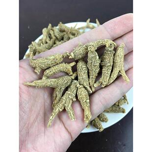 美国野生黑皮旗参甘醇进口西洋参段FOM整支切粉含片花打227克原枝