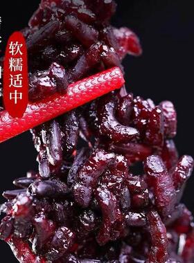 紫新米云南米紫糯米米商用墨江紫黑米紫饭家用无染IAN色非真空米