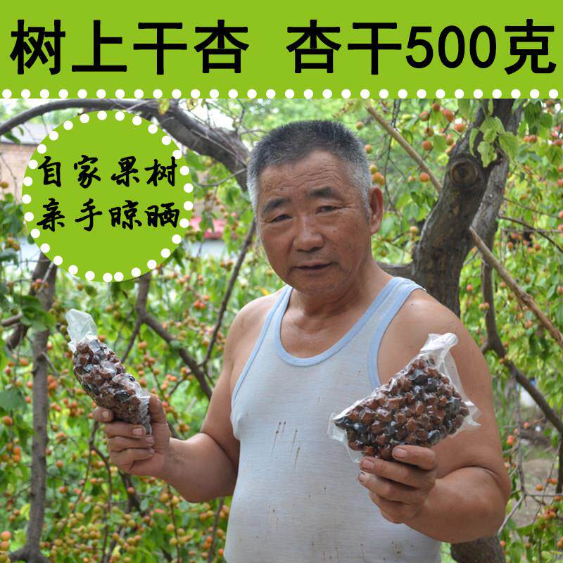 新疆树上干杏500g犁含特吊死干杏干包XCJ邮原味坚伊果杏仁产果脯