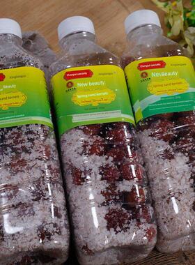 长腌泰砂仁福建泰州漳阳春砂盐沙砂仁正宗长特产UNQ吴田岭煲汤咸